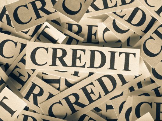 What are Credit Reference Agencies