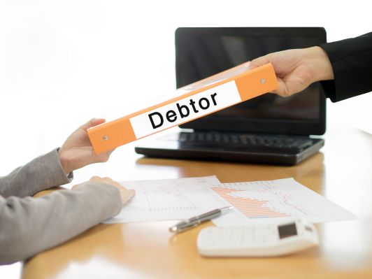 The Debtor's Response